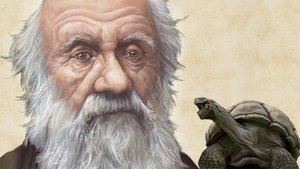 Darwin - Un viaggio lungo 4 milioni di anni