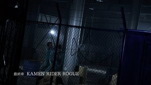Final Chapter: KAMEN RIDER ROGUE