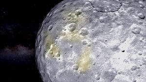 Return of the Moon Bugs