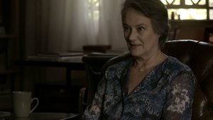 Dora - Sessão 02