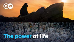 The story of our planet