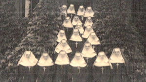 A Vast Company Of Witnesses: The Communion Of Saints