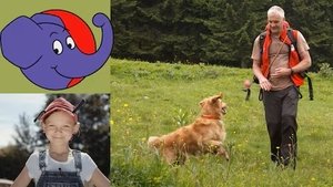 Episode 299