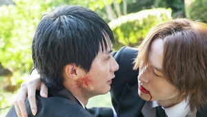 Succession and the Will