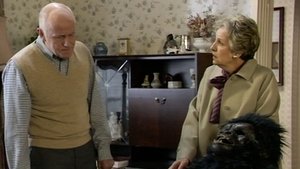 Descent into the Maelstrom