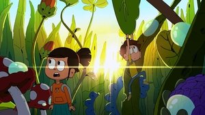 The Insects
