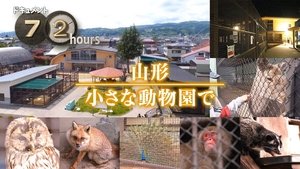 Episode 19