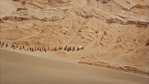 Episode 29