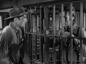 Incident of the Sharpshooter