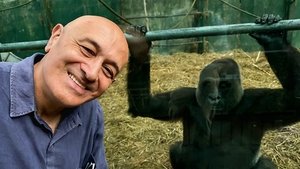 Secrets of the Brain (2)