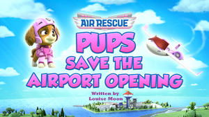 Air Rescue: Pups Save the Airport Opening