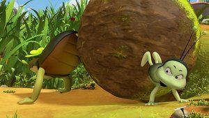 Dung Ball Drama