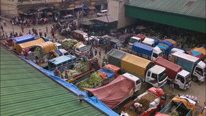 The Philippine Serpentines