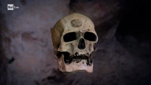 Neanderthal - L'enigma della sua scomparsa
