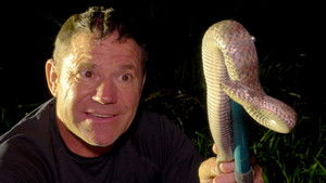 Dragons and Death Adders