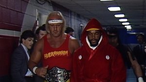 The Mania Begins