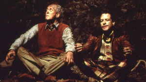 Dick and Harry Fall in a Hole