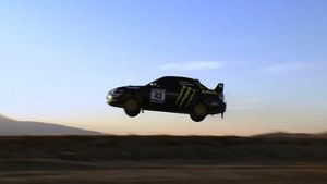 Get With Your Power Animal