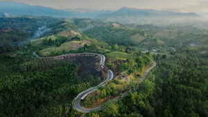 The Trans Sulawesi Highway
