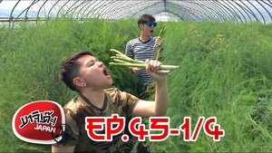 XN031 Hokkaido 45