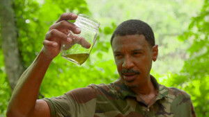 Like Water for Moonshine