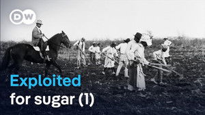 How sugar created slavery (1/2)