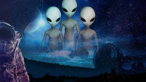 The First Order of The Greys