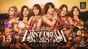 Marigold First Dream 2025