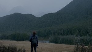Searchers Search