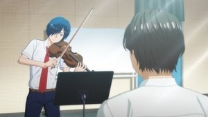 The Auditions