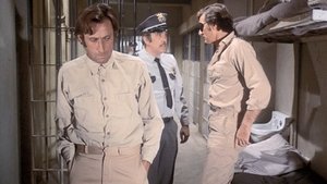 The Concrete Jungle Caper