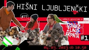 Pets