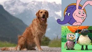 Episode 301