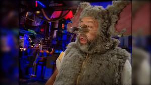 Leaves, Beakmania, & Paper