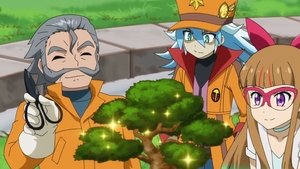 Training Troubles