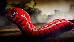 Death Worms: Fact or Fiction?