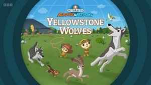 Yellowstone Wolves