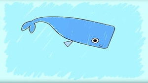How to Draw A Whale