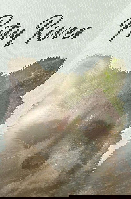 Pity River