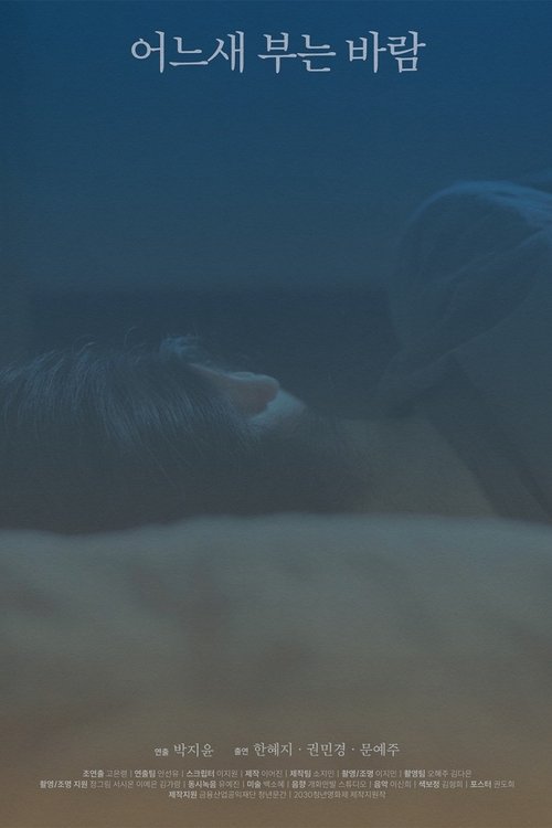 The Consolation of the Wind