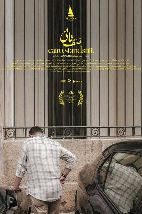 Cairo, Standstille