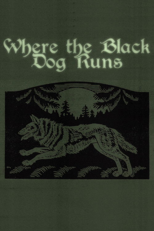 Where the Black Dog Runs