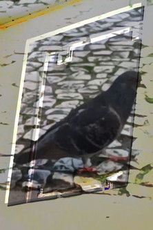 não tenho dormido muito mas continuo sonhando a cada piscada