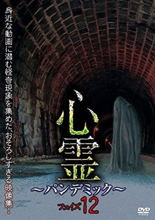 Spirit Pandemic Phase 12