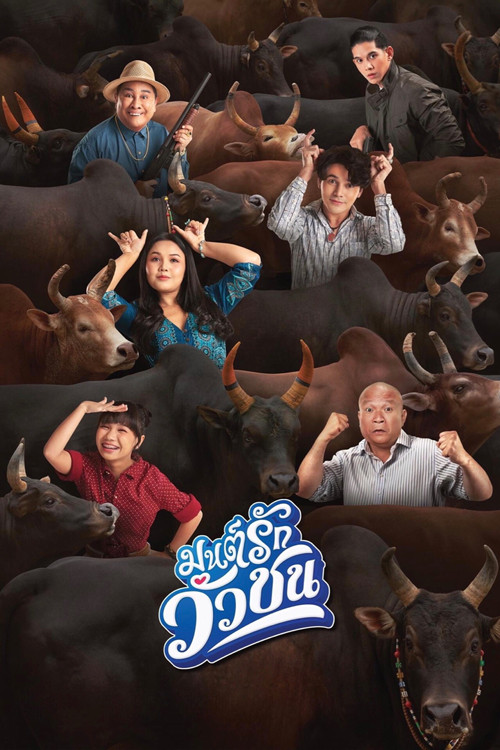 Love Battle vs Bullfighting