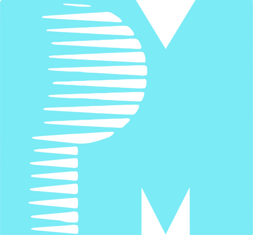 PM Entertainment Group