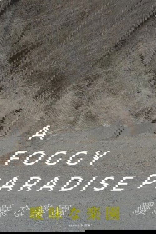 A Foggy Paradise