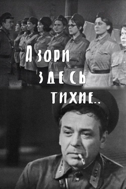 The Dawns Here Are Quiet