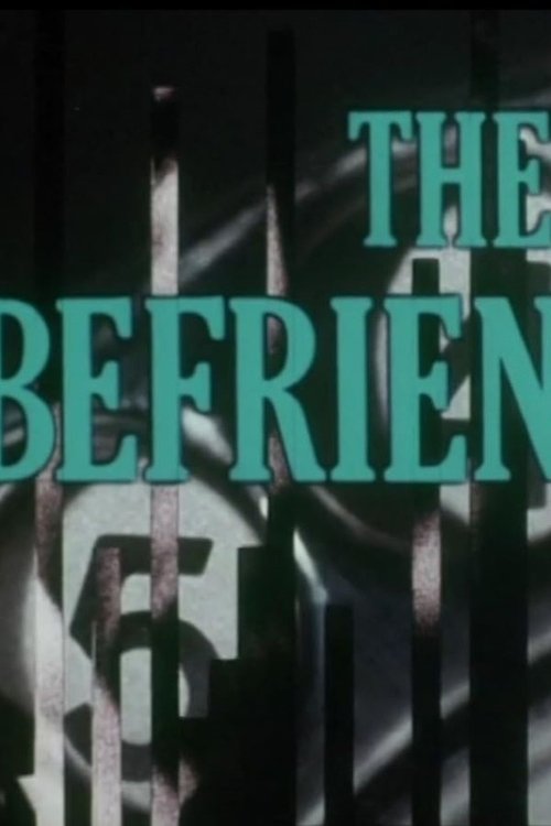 The Befrienders