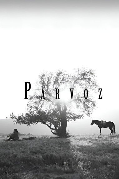 Parvoz